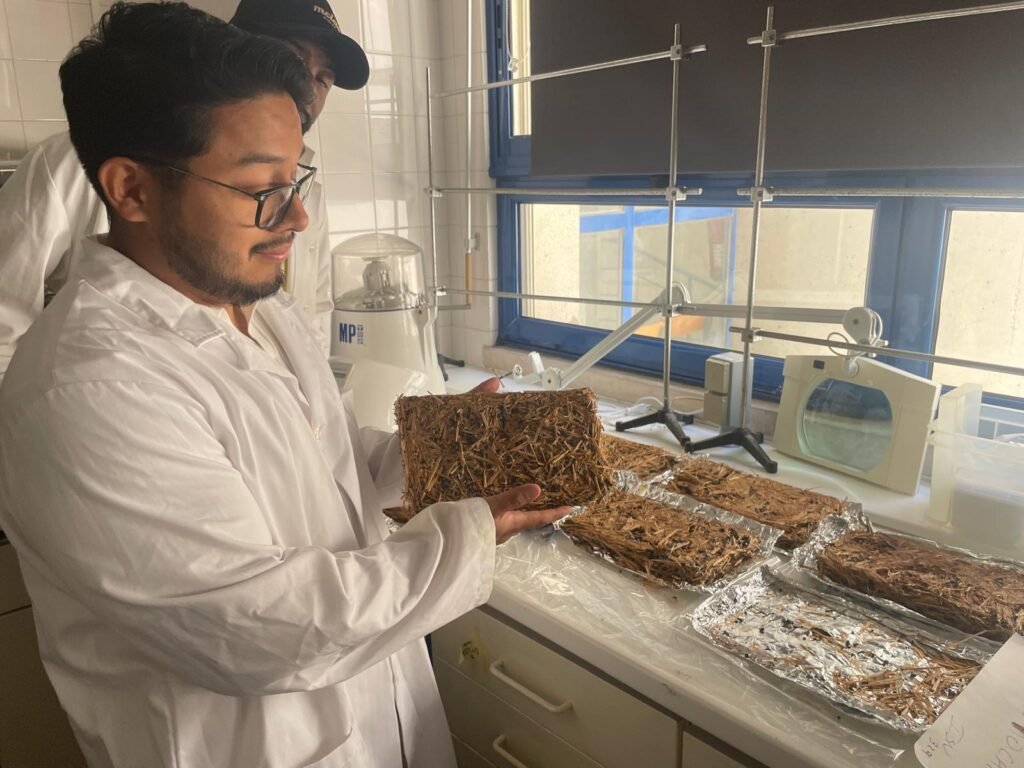 FungiFoam team working with prototype panels in the laboratory